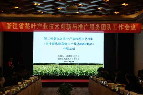 浙江省茶葉產(chǎn)業(yè)技術(shù)創(chuàng)新與推廣服務團隊工作會議在杭舉行 凝聚智慧，共促產(chǎn)業(yè)升級